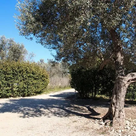 Punta Del Cane Holiday home *